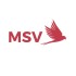 MSV