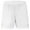 Babolat Short Lebron Ανδρικό Σορτς